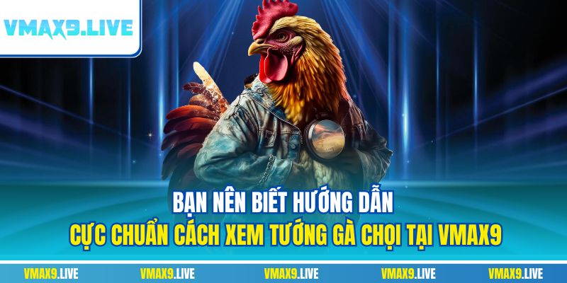 Bạn nên biết hướng dẫn cực chuẩn cách xem tướng gà chọi tại Vmax9 Bạn nên biết hướng dẫn cực chuẩn cách xem tướng gà chọi tại Vmax9