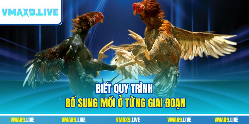 Biết quy trình bổ sung mồi ở từng giai đoạn