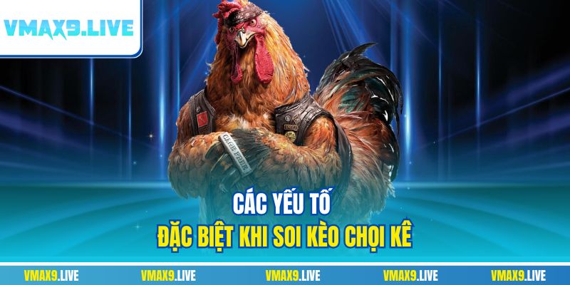 Các yếu tố đặc biệt khi soi kèo chọi kê Các yếu tố đặc biệt khi soi kèo chọi kê