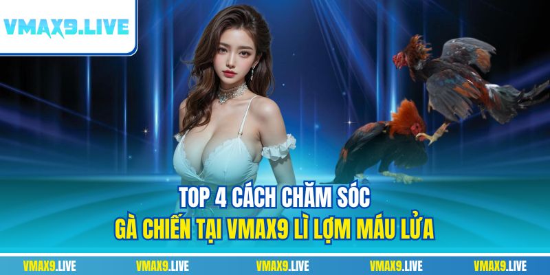 chăm sóc gà chiến