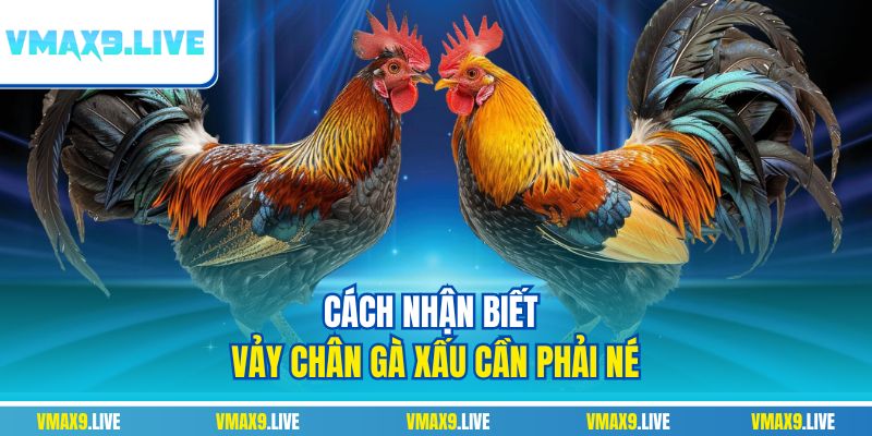 Cách nhận biết vảy chân gà xấu cần phải né Cách nhận biết vảy chân gà xấu cần phải né