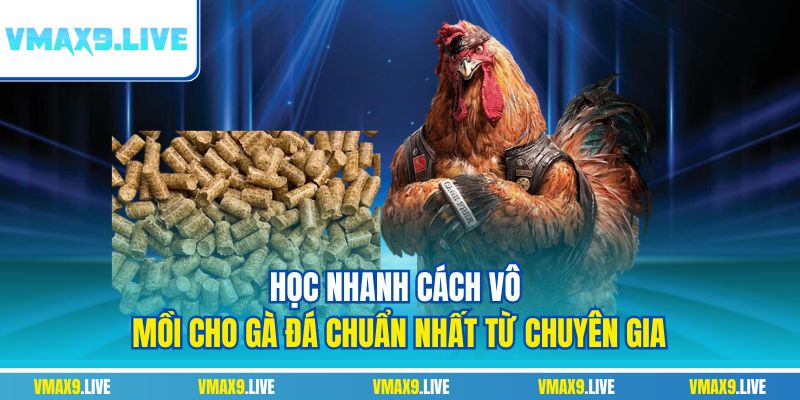 Cách vô mồi cho gà đá