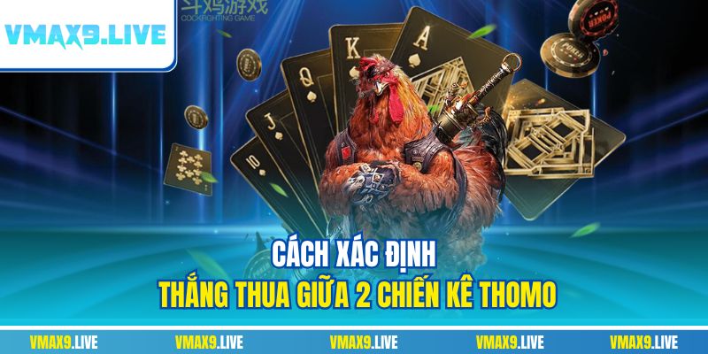 Cách xác định thắng thua giữa 2 chiến kê Thomo Cách xác định thắng thua giữa 2 chiến kê Thomo