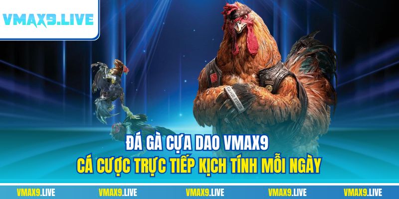 Đá gà cựa dao Vmax9