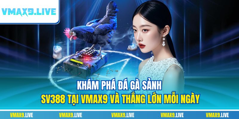 Đá gà sảnh SV388 tại Vmax9