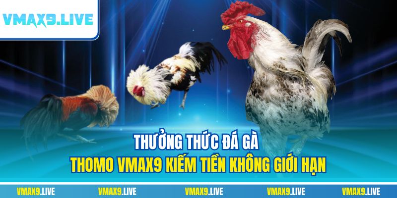 Đá gà Thomo Vmax9
