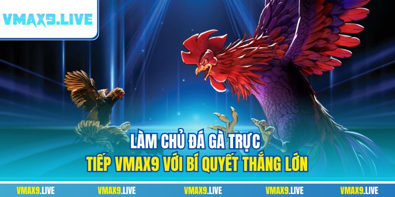 Đá gà trực tiếp Vmax9
