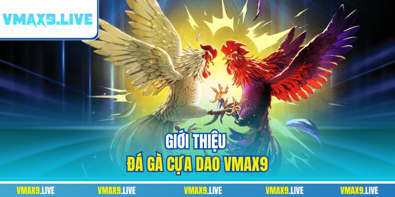 Giới thiệu đá gà cựa dao Vmax9 Giới thiệu đá gà cựa dao Vmax9