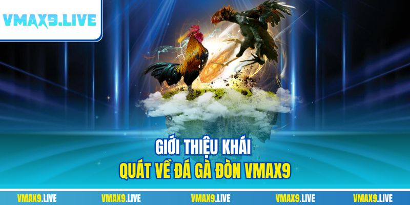 Giới thiệu khái quát về đá gà đòn Vmax9 Giới thiệu khái quát về đá gà đòn Vmax9