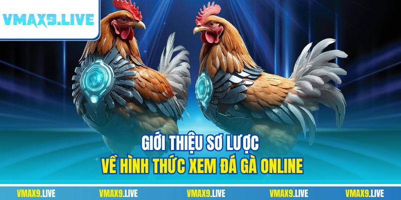 Giới thiệu sơ lược về hình thức xem đá gà online Giới thiệu sơ lược về hình thức xem đá gà online