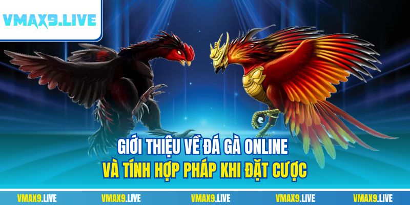 Giới thiệu về đá gà online và tính hợp pháp khi đặt cược Giới thiệu về đá gà online và tính hợp pháp khi đặt cược
