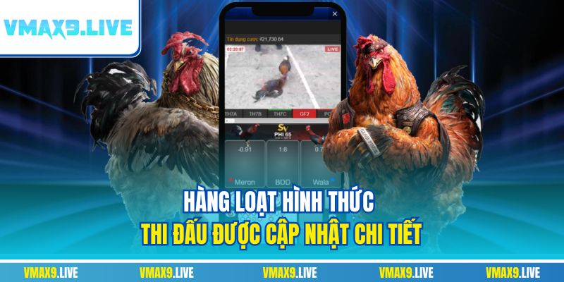 Sảnh Digmaan nơi trải nghiệm đá gà uy tín được yêu thích Sảnh Digmaan nơi trải nghiệm đá gà uy tín được yêu thích