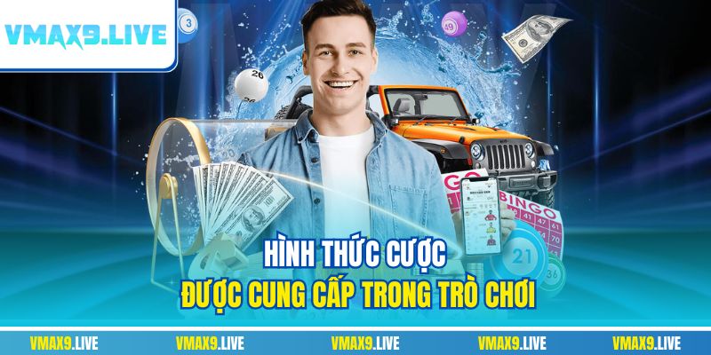 Hình thức cược được cung cấp trong trò chơi Hình thức cược được cung cấp trong trò chơi