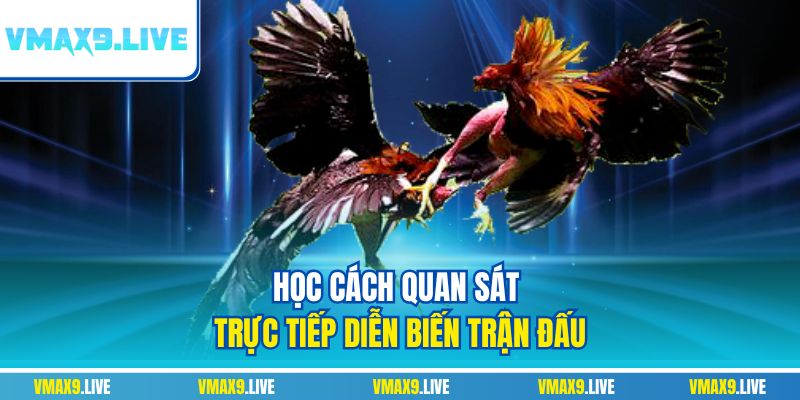 Học cách quan sát trực tiếp diễn biến trận đấu Học cách quan sát trực tiếp diễn biến trận đấu