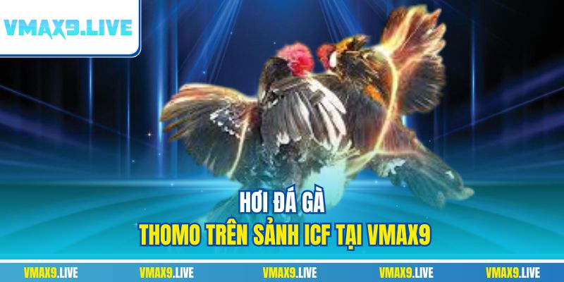 Chơi đá gà Thomo trên sảnh ICF tại Vmax9 Chơi đá gà Thomo trên sảnh ICF tại Vmax9