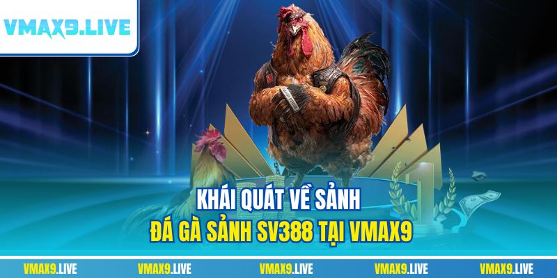 Khái quát về sảnh đá gà sảnh SV388 tại Vmax9