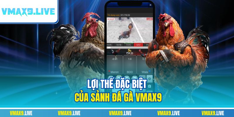 Lợi thế đặc biệt của sảnh đá gà Vmax9 Lợi thế đặc biệt của sảnh đá gà Vmax9