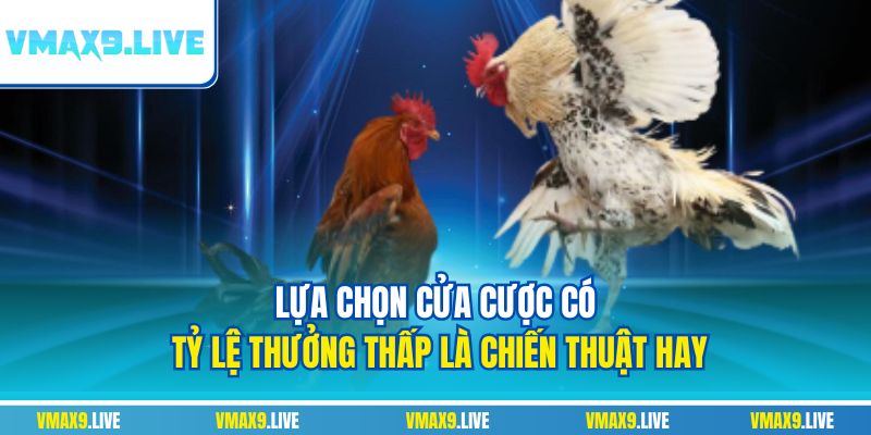 Lựa chọn cửa cược có tỷ lệ thưởng thấp là chiến thuật hay Lựa chọn cửa cược có tỷ lệ thưởng thấp là chiến thuật hay