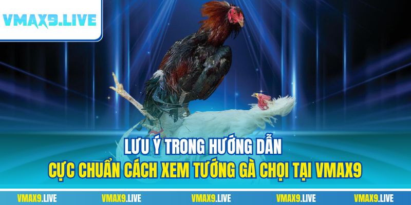 Lưu ý trong hướng dẫn cực chuẩn cách xem tướng gà chọi tại Vmax9 Lưu ý trong hướng dẫn cực chuẩn cách xem tướng gà chọi tại Vmax9