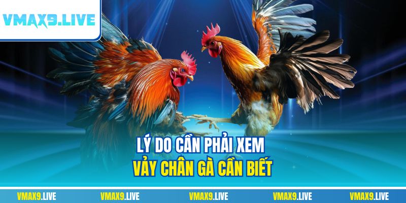 Lý do cần phải xem vảy chân gà cần biết Lý do cần phải xem vảy chân gà cần biết