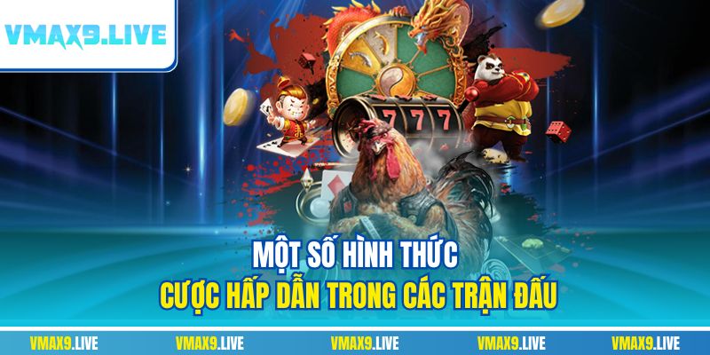 Một số hình thức cược hấp dẫn trong các trận đấu Một số hình thức cược hấp dẫn trong các trận đấu