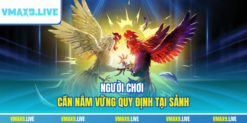 Người chơi cần nắm vững quy định tại sảnh Người chơi cần nắm vững quy định tại sảnh