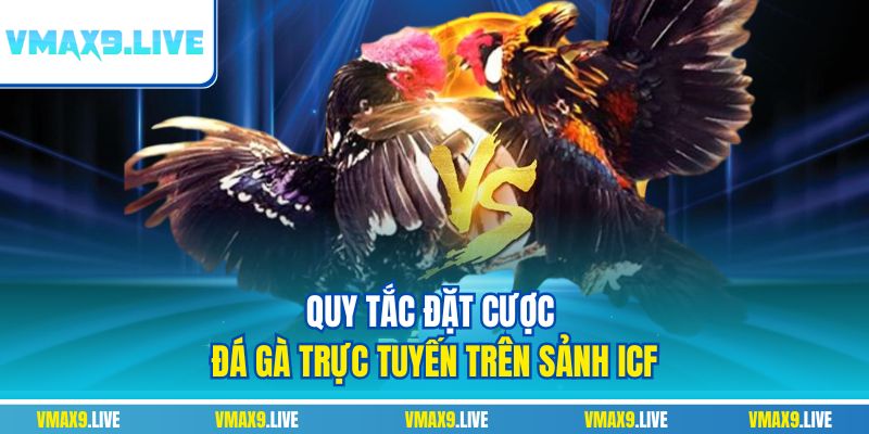 Quy tắc đặt cược đá gà trực tuyến trên sảnh ICF Quy tắc đặt cược đá gà trực tuyến trên sảnh ICF