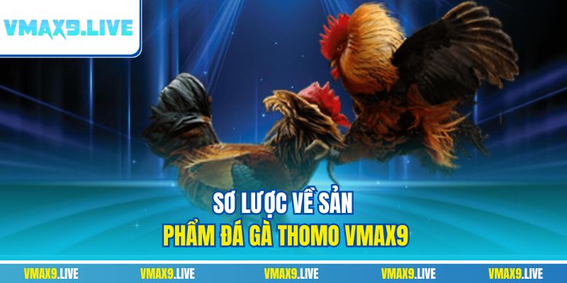 Sơ lược về sản phẩm đá gà Thomo Vmax9 Sơ lược về sản phẩm đá gà Thomo Vmax9