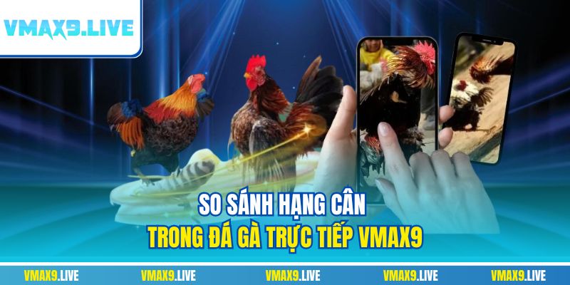 So sánh hạng cân trong đá gà trực tiếp Vmax9 So sánh hạng cân trong đá gà trực tiếp Vmax9