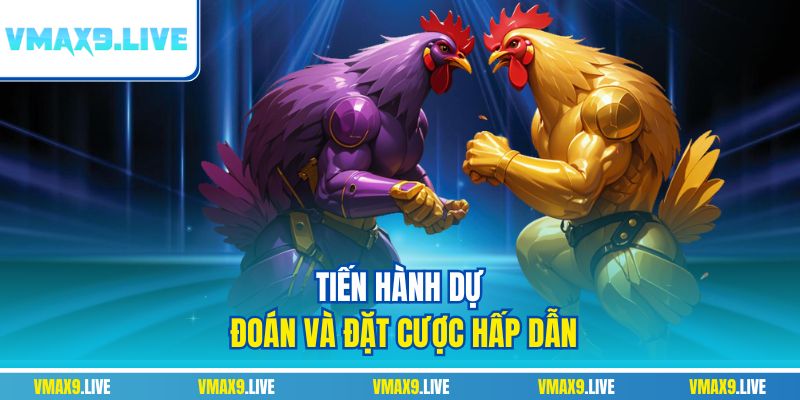 Tiến hành dự đoán và đặt cược hấp dẫn Tiến hành dự đoán và đặt cược hấp dẫn