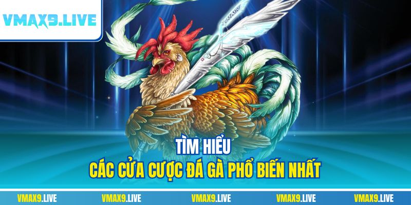 Tìm hiểu các cửa cược đá gà phổ biến nhất Tìm hiểu các cửa cược đá gà phổ biến nhất