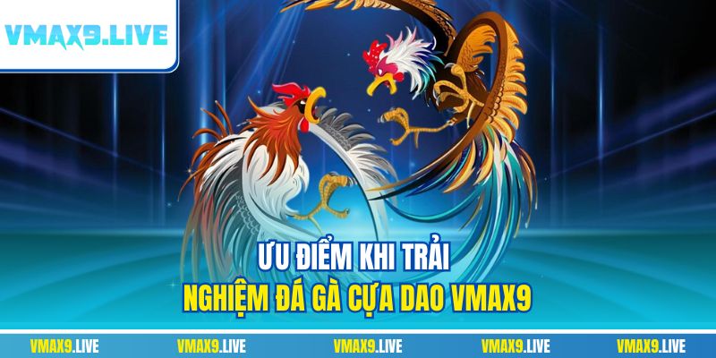 Ưu điểm khi trải nghiệm đá gà cựa dao Vmax9 Ưu điểm khi trải nghiệm đá gà cựa dao Vmax9