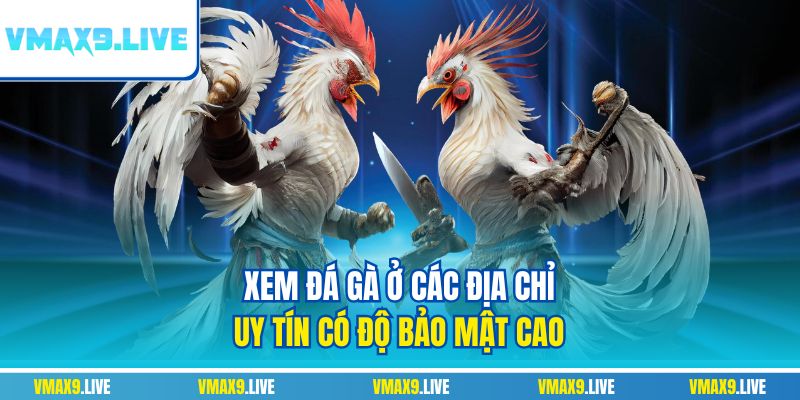 Xem đá gà ở các địa chỉ uy tín có độ bảo mật cao Xem đá gà ở các địa chỉ uy tín có độ bảo mật cao