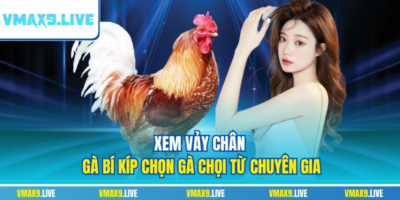 Xem vảy chân gà