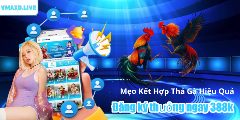 Gà nên được thả nơi thoáng, nắng nhẹ Gà nên được thả nơi thoáng, nắng nhẹ