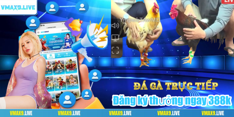 Cách Thả Gà Đá