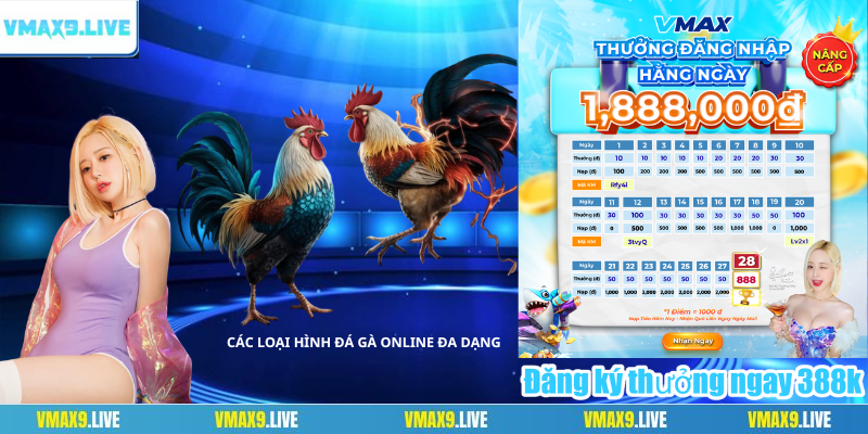 Các loại hình đá gà online đa dạng