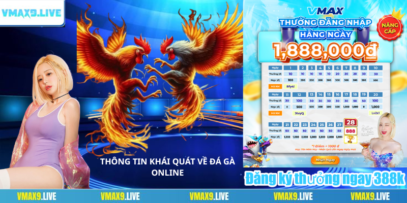 thông tin về sảnh Đá gà online