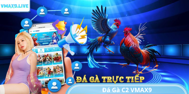 đá gà c2 vmax9