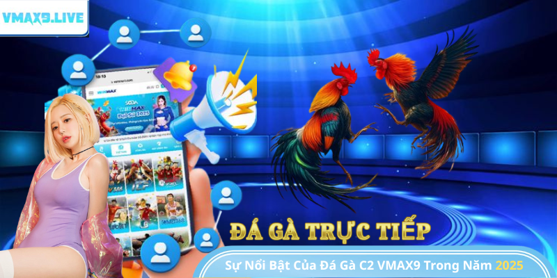 Năm 2025 đánh dấu một bước ngoặt lớn cho đá gà C2 VMAX9