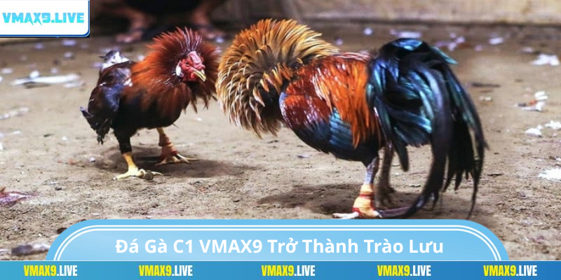 Quy định và các bước tổ chức giải C1 Quy định và các bước tổ chức giải C1