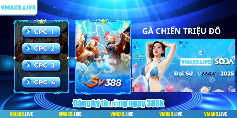 Hai chiến kê đều bất bại trước khi vào trận Hai chiến kê đều bất bại trước khi vào trận